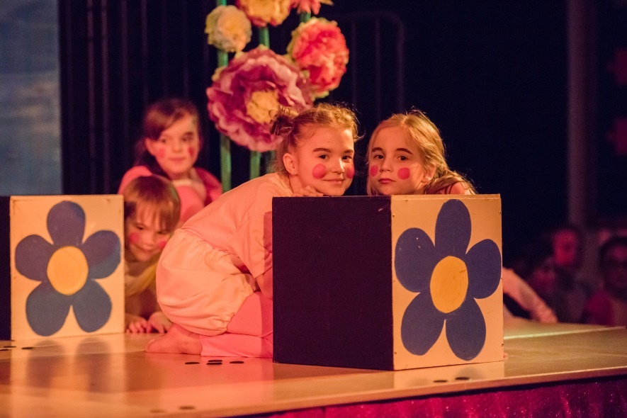 Homework wizard 224 02 picture